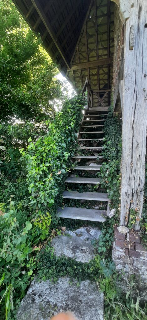 Schitterend begroeide oude trap